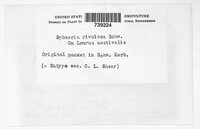 Image Associated With the Occurrence